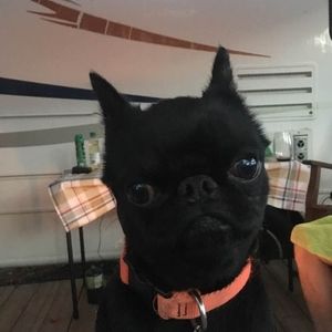 Meet your Posher, Margo